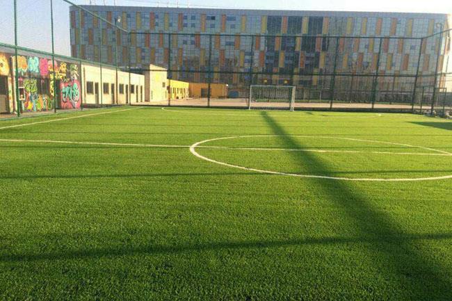 人造草坪生產(chǎn)、施工安排