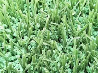 足球場MT填充系列